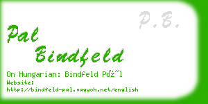 pal bindfeld business card